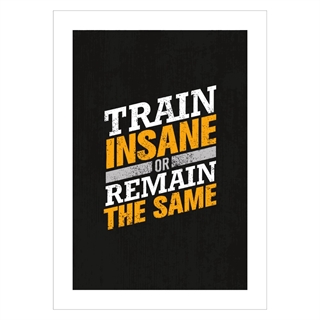 Train insane - Plakat