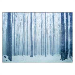 Vinterskog - Plakat